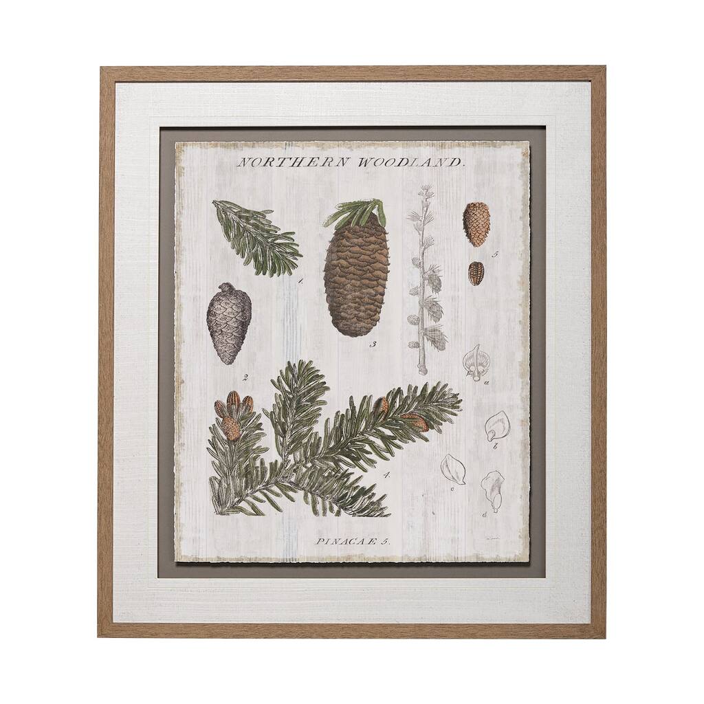 Woodland Chart IV Framed Art Print