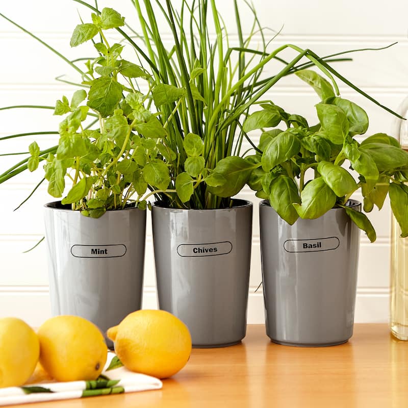Clear Spice Labels