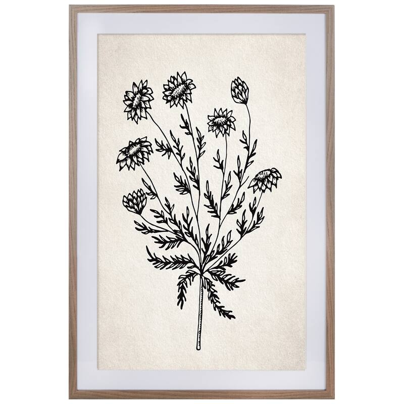 SAFAVIEH Vija Fresh Cut Flora Photograph, 24 x 36, Framed Wall Art - Ivory/Black