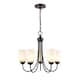 Option Rubbed Bronze
