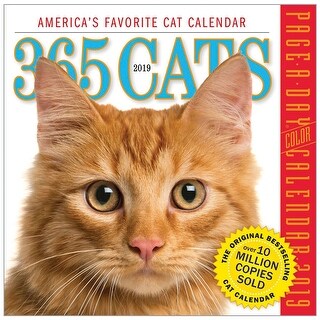 Shop Workman Publishing 365 Cats Page A Day Calendar 2019 Daily