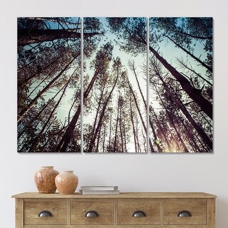 Designart "High Forest Trees And Blue Sky" Traditional Canvas Wall Art ...