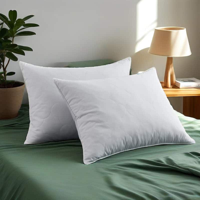 2 Pack Gusseted & Classic Goose Feather Bed Pillows with Soft Cover - White