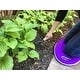 preview thumbnail 23 of 27, 2.1 Gallon Traditional Metal Watering Can with 20"L x 12.25"W Memory Foam Kneeling Cushion