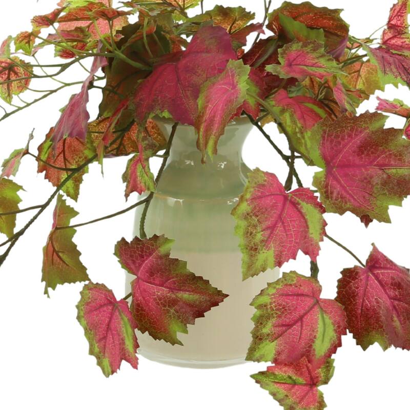 26" Trailing Variegated Ivy in Ceramic Vase - Green