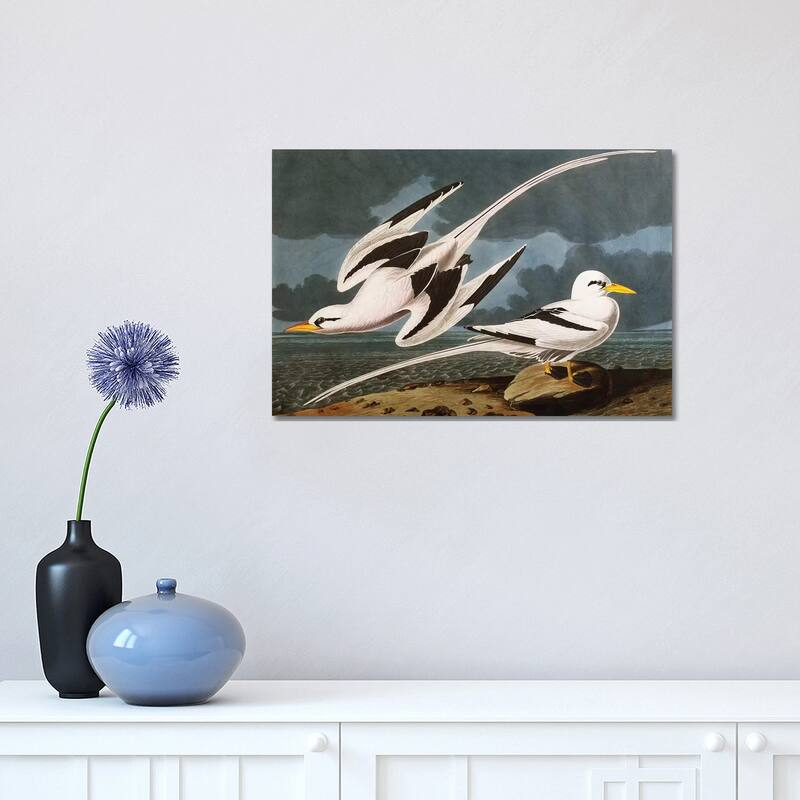 iCanvas "Tropic Bird plate CCLXII from 'The Birds of America'" by John James Audubon Canvas Print - 12x18x1.5