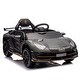 preview thumbnail 22 of 78, 12V Lamborghini Aventador Xago Kids Ride-On Car with Parents Remote Control, Early Education Features, and LED Lights