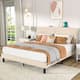 Option Beige