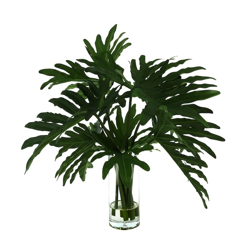 Organic Modern Philodendron Arranged in Glass Vase - Green