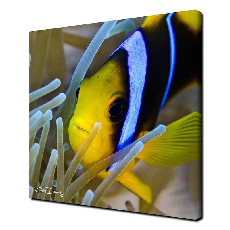 Ready2HangArt 'Underwater Rays' Wrapped Canvas Wall Art