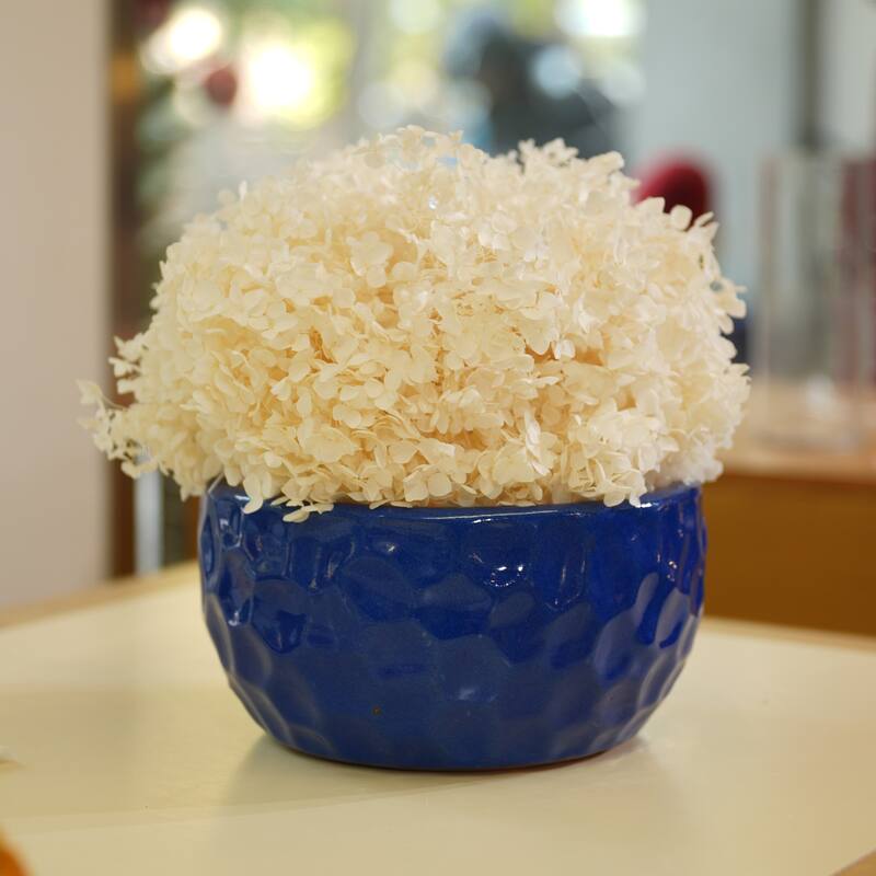 Anmytek Handmade Ceramic Planter Set of 3 with Hammered Texture