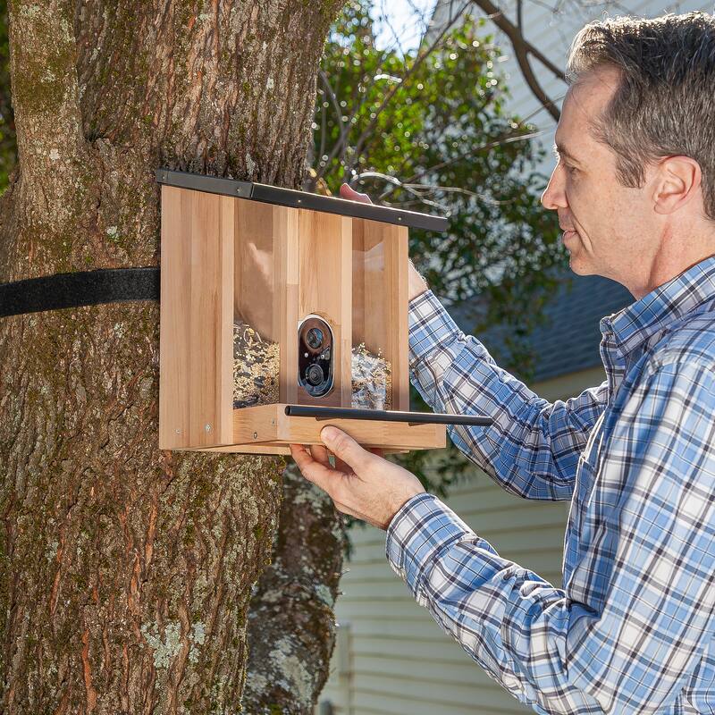 BirdsIVue Smart Feeder: Motion-Activated Video Solar Wooden Bird Feeder