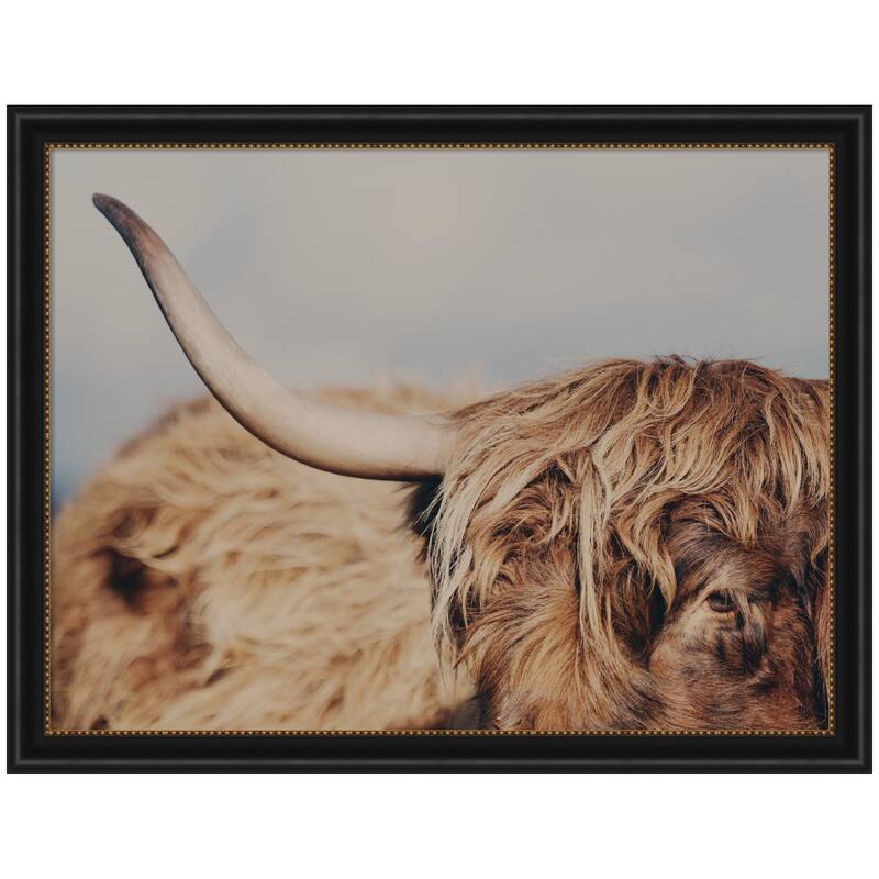 Kate and Laurel Highland Cow No. 4 Close by Laura Evans Framed Wall Art Print - 44 x 34 - Black