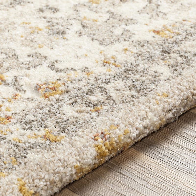 Pienza Updated Traditional Medallion Area Rug