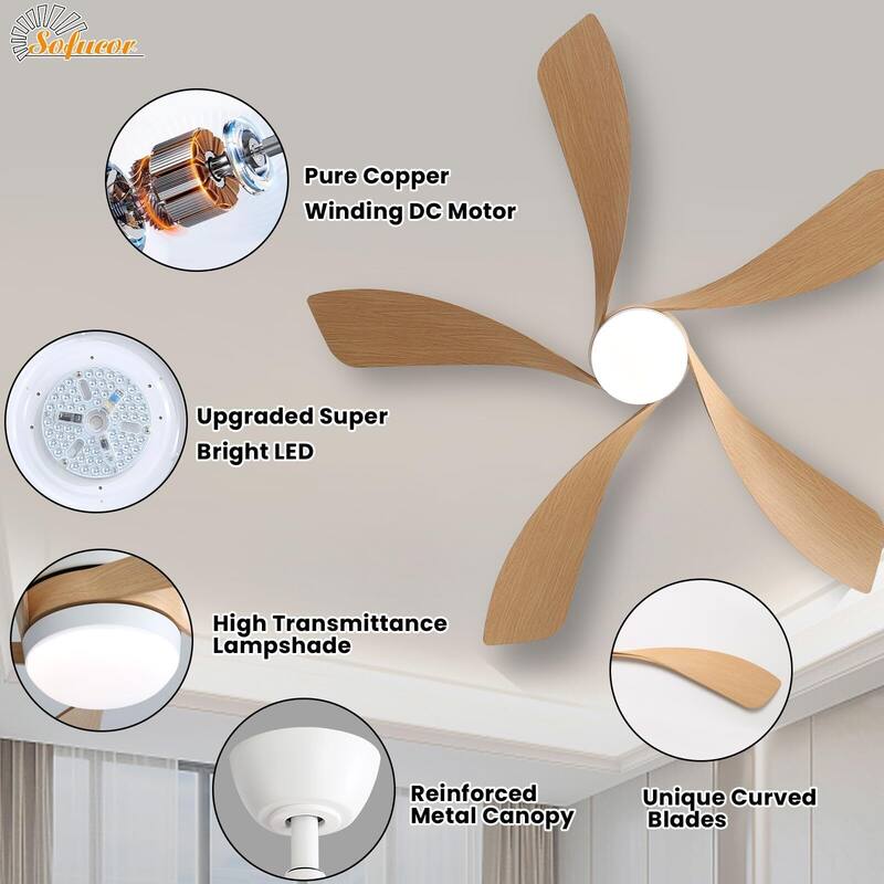 52 Inch Ceiling Fan with Remote & Lights Quiet DC Motor 5 Blade High CFM Modern Fan