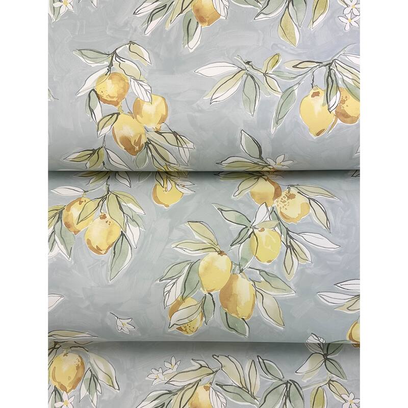 Chesapeake Lemonade Aqua Citrus Wallpaper