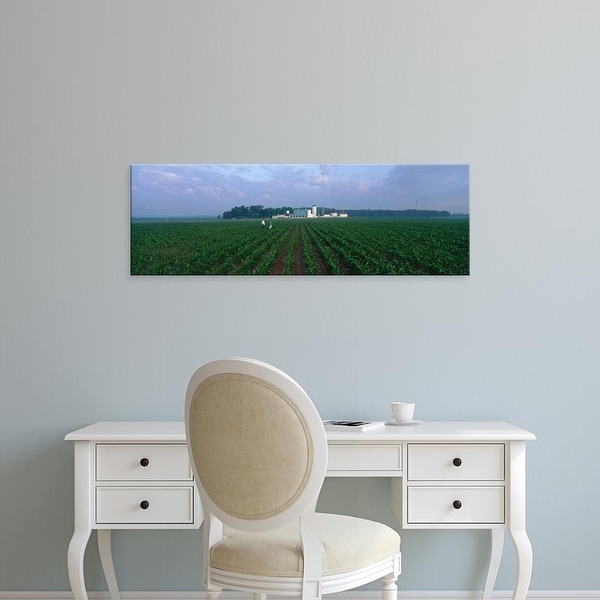 Easy Art Prints Panoramic Images's 'USA, Illinois, Kane County, corn' Premium Canvas Art