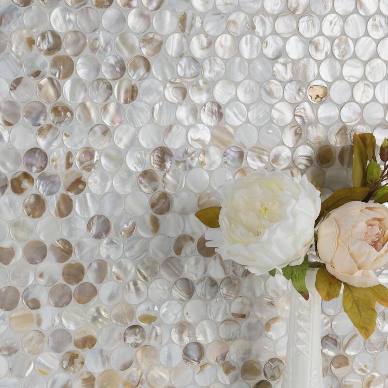 Merola Tile Conchella Penny Natural 11-1/4" x 11-5/8" Natural Shell Wall Tile