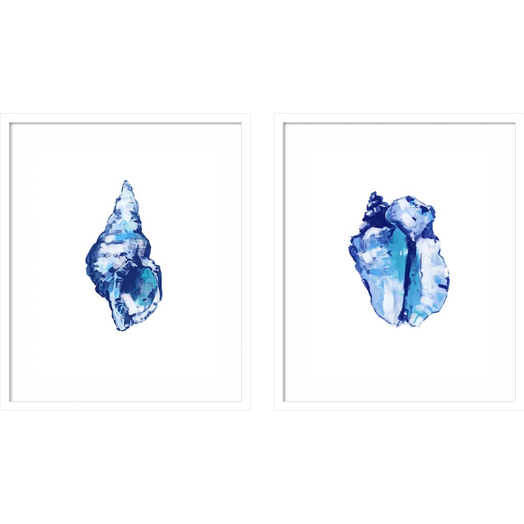 Blue Shell On White Background No. 1 & 2 2 Piece by Cartissi Framed Wall Art Prints
