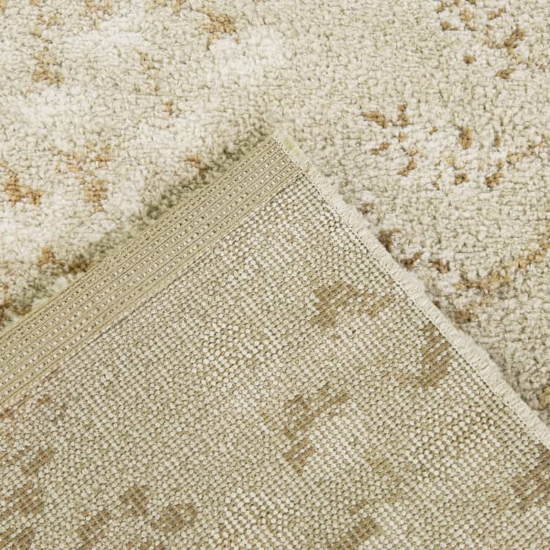 Harmonia Floral Transitional Area Rug