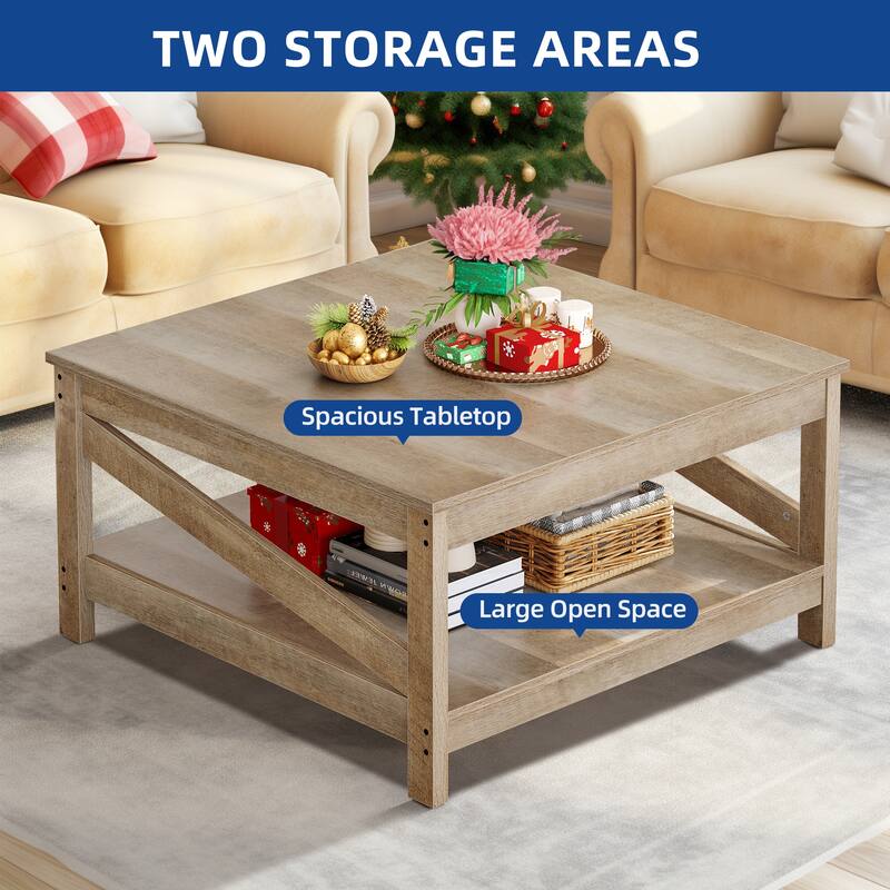 Moasis 2-Tier Square Coffee Tables with Shelf Center Table for Living Room