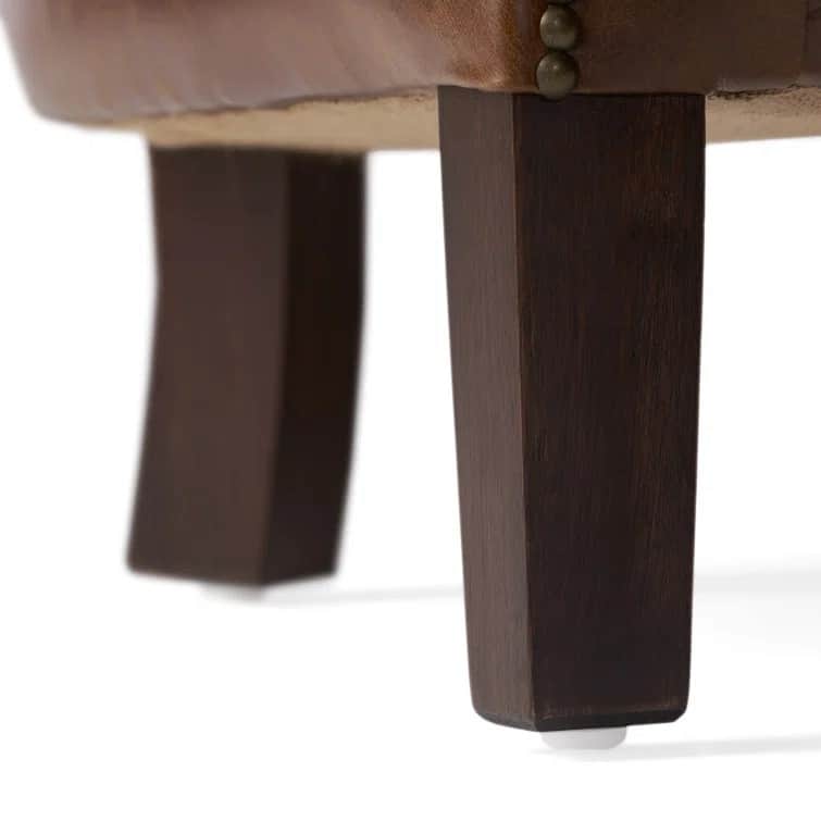 Brown Modern 29.25" Genuine Leather Upholstered Accent Chair with Rubber Wood Legs and Nailheads for Living Room