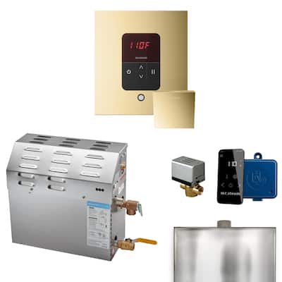 Mr Steam R12C1ABF0000 MS 12 kW (12000 W) Steam Shower Generator