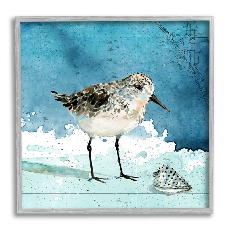 Stupell Sandpiper Bird and Shell Nautical Ocean Map Framed Wall Art - Blue - 24 x 24 - Grey