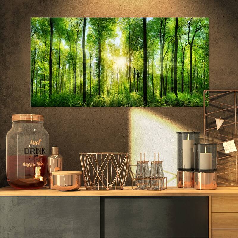 Designart "Forest with Rays of Sun Panorama" Landscape Canvas Print - 32 in. wide x 16 in. high - 1 Panel