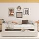 Option Beige