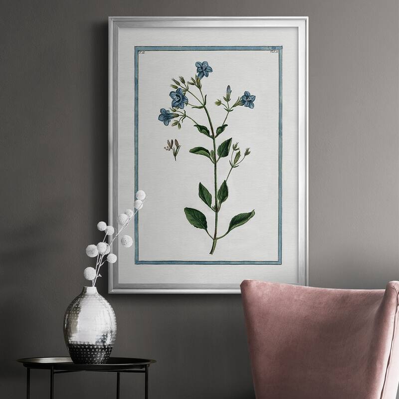 Shabby Chic Botanical II Premium Framed Print - Ready to Hang