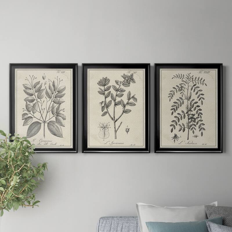 Antique Black & White Botanical VII Premium Framed Canvas - Ready to Hang - Multi-Color