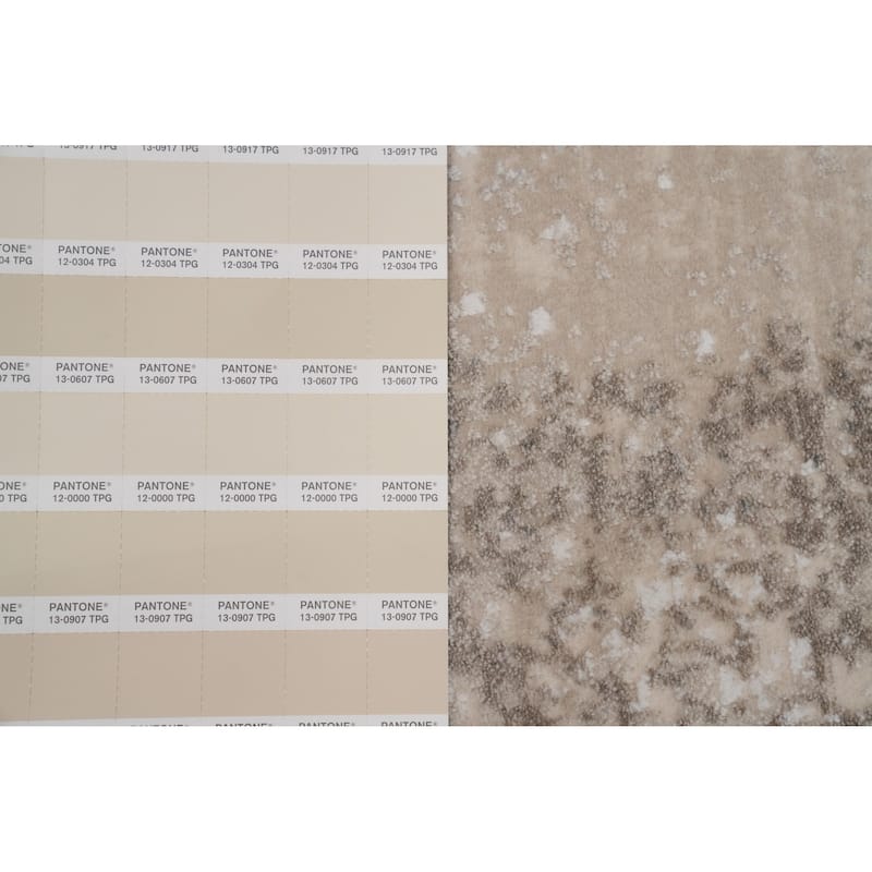 Machine Made Oriental Polyester Carpet Modern Abstract Beige & Ivories Abstract Area Rug - 7' 5'' X 5' 2''