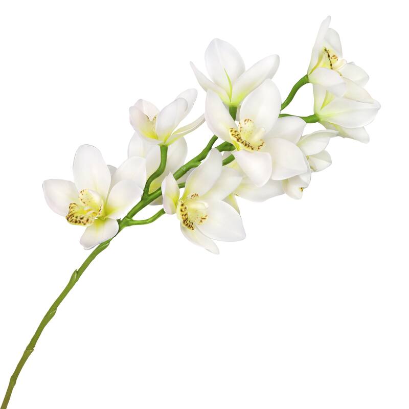 Set of 2 Large Cream Artificial Cymbidium Orchid Flower Stem Spray 31in - 31" L x 7" W x 7" DP