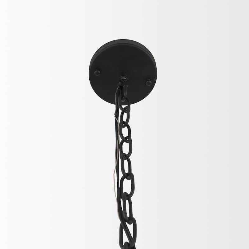 Barbara Matte Black Metal w/ Frosted Glass Globes 11-Light Chandelier - 31.5L x 31.5W x 31.5H