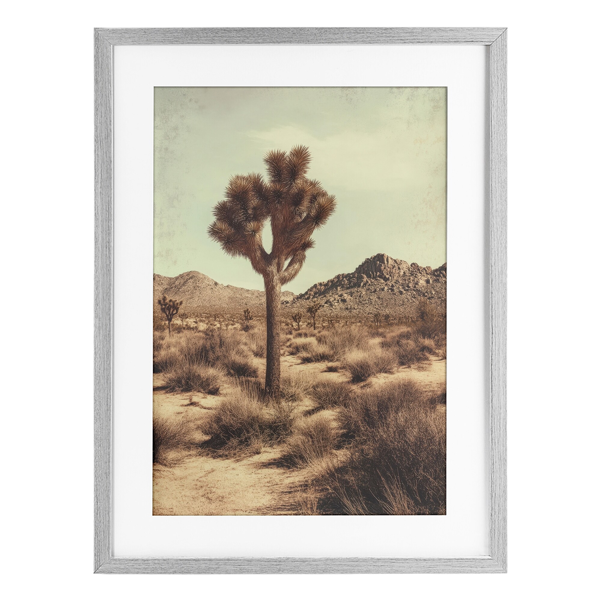 Stupell Lone Tree in Desert Under Glass Framed Design By Petal Prints Design