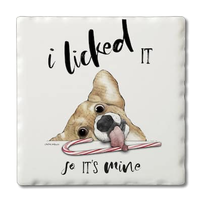 Counterart Absorbent Stone Coasters - I Licked It - Set of 4 - 4x4x1.536