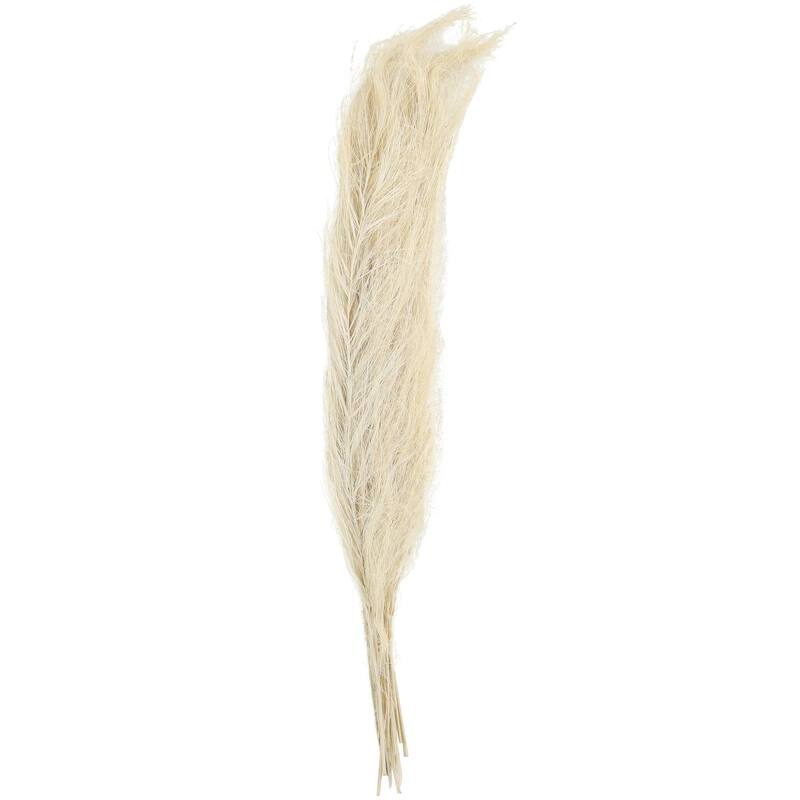 Dried Plant Feather Like Leaves Floral Bouquet Home Decor Natural Foliage with Stems - White, Brown, Green - Roche River Decor - White