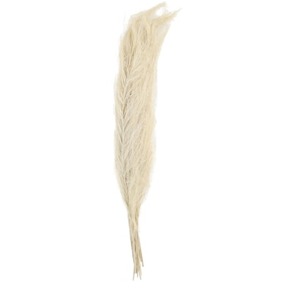 Dried Plant Feather Like Leaves Floral Bouquet Home Decor Natural Foliage with Stems - White, Brown, Green - Roche River Decor