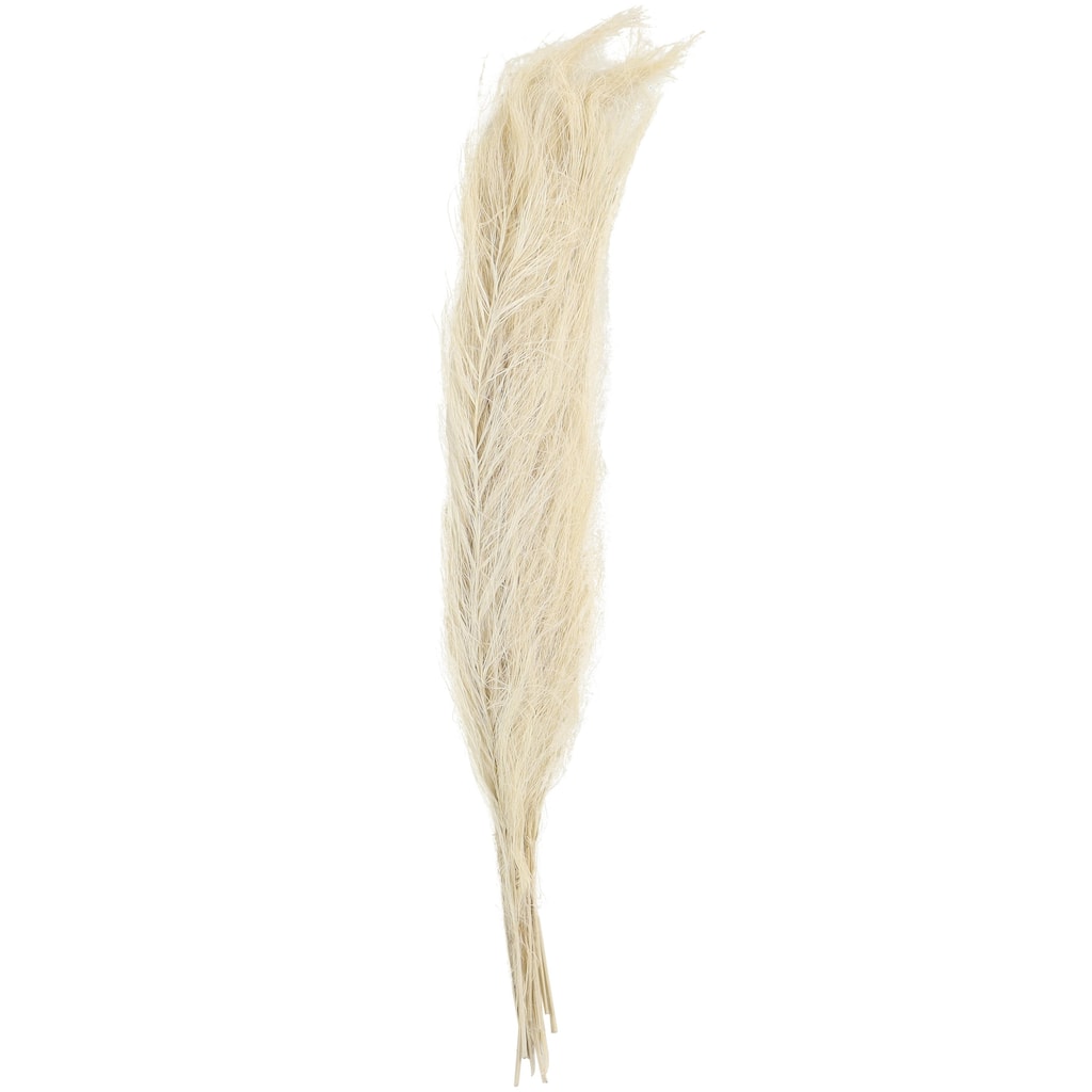 Dried Plant Feather Like Leaves Floral Bouquet Home Decor Natural Foliage with Stems - White, Brown, Green - Roche River Decor