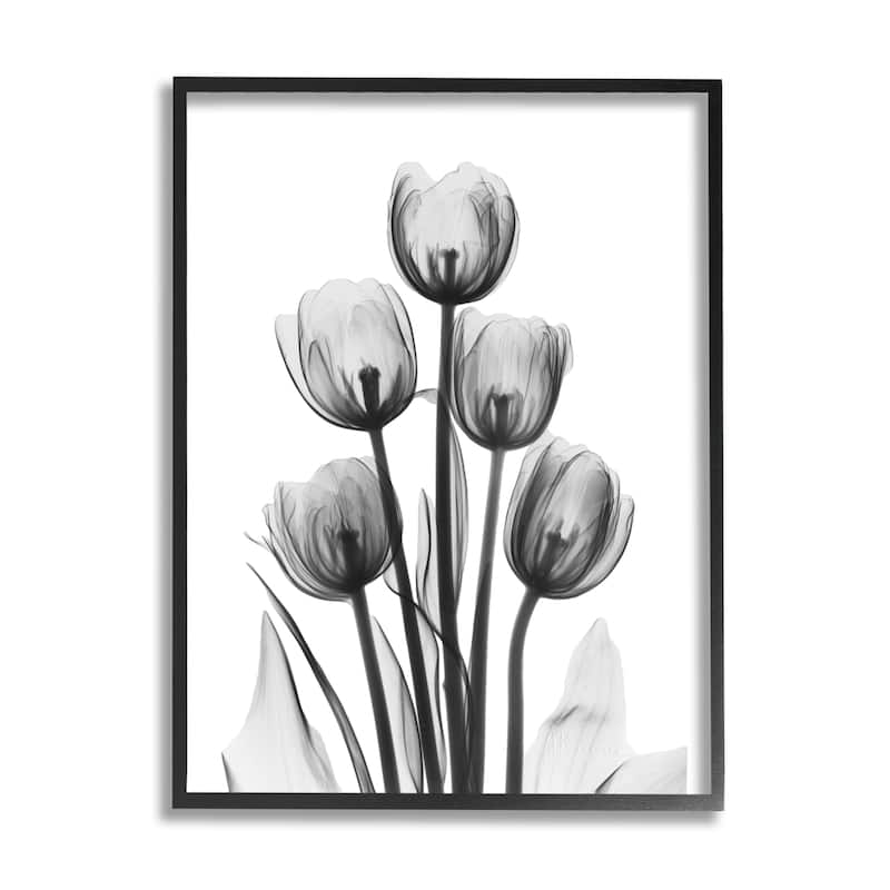 Stupell Abstract Flower Silhouette Monochrome Tulips Design Framed Wall Art - White - 11 x 14 - Black