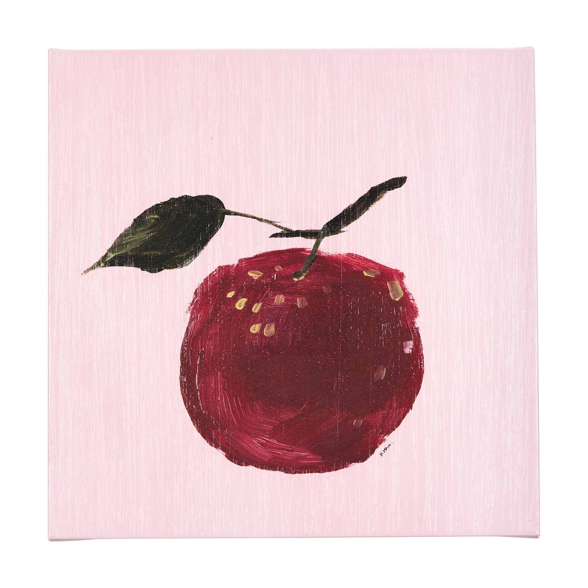 Apple (30 x 30) Canvas Art Print