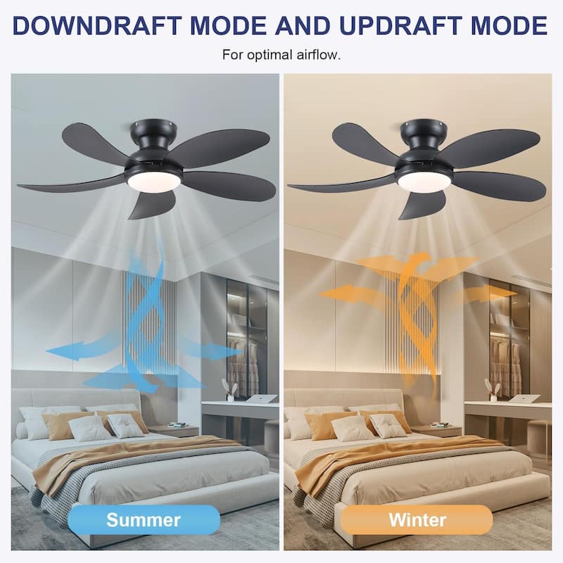 52" Low Profile Modern Ceiling Fan with Light,5 ABS Blades,
