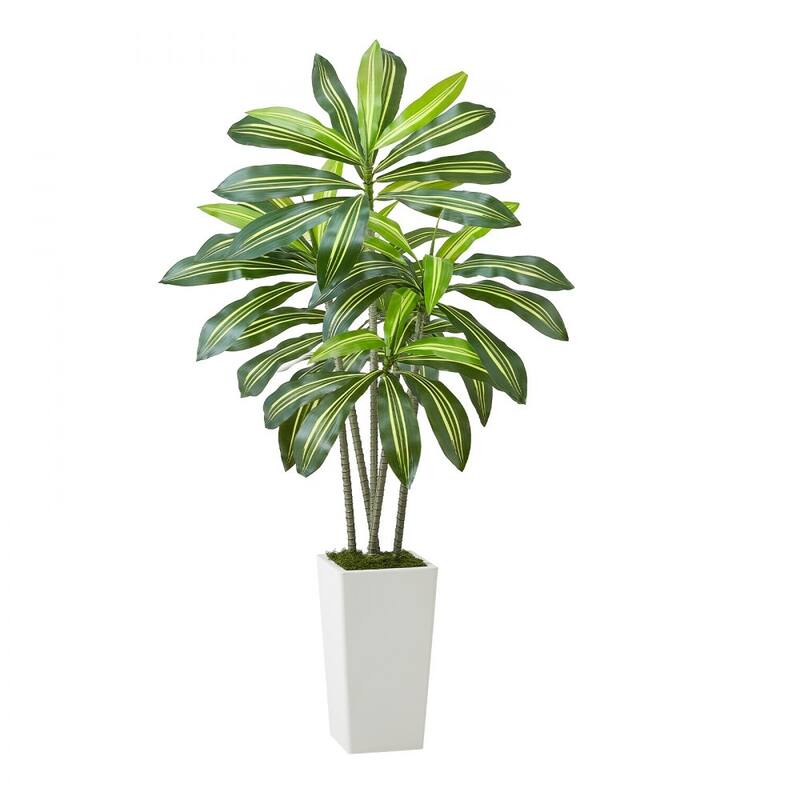 Realistic Artificial Dracaena Tree with Moss Planter and Lifelike PE Leaves for Indoor Home Decor