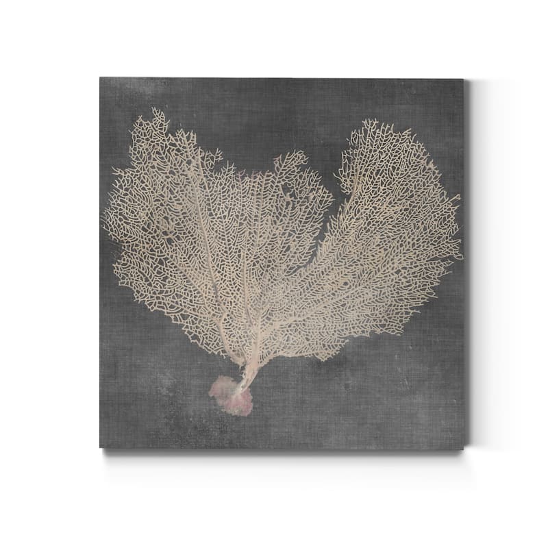 Natural Sea Fan VI -Premium Gallery Wrapped Canvas - Ready to Hang