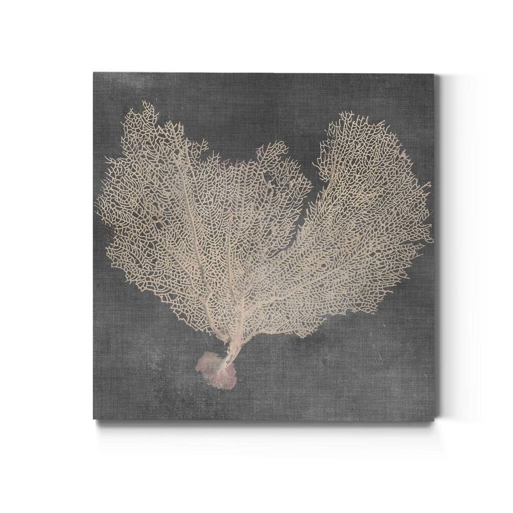 Natural Sea Fan VI -Premium Gallery Wrapped Canvas - Ready to Hang