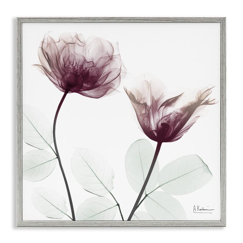 Stupell Minimalist Translucent Flowers Framed Giclee Art Design By Albert Koetsier - 17 x 17 - Grey