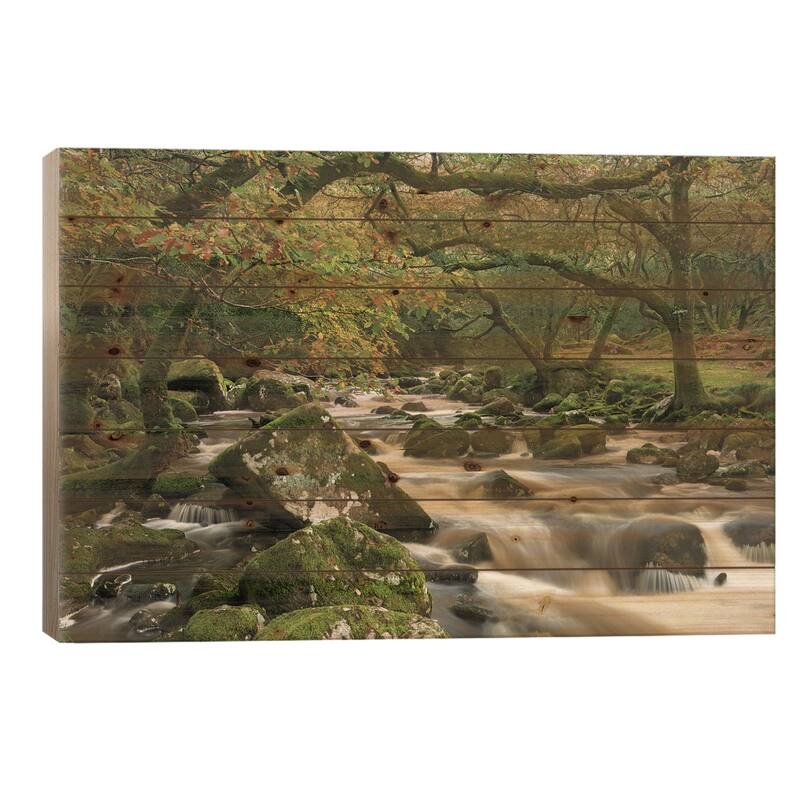The Dewerstone Wood Print On Wood by Adam Burton - Multi-Color - 26x40x1.5