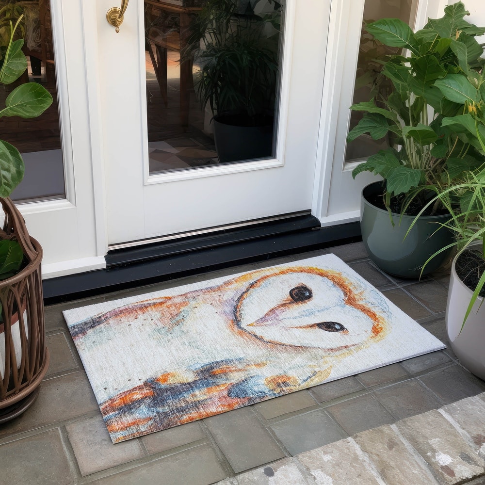 Machine Washable Indoor/ Outdoor Modern Owl Chantille Rug