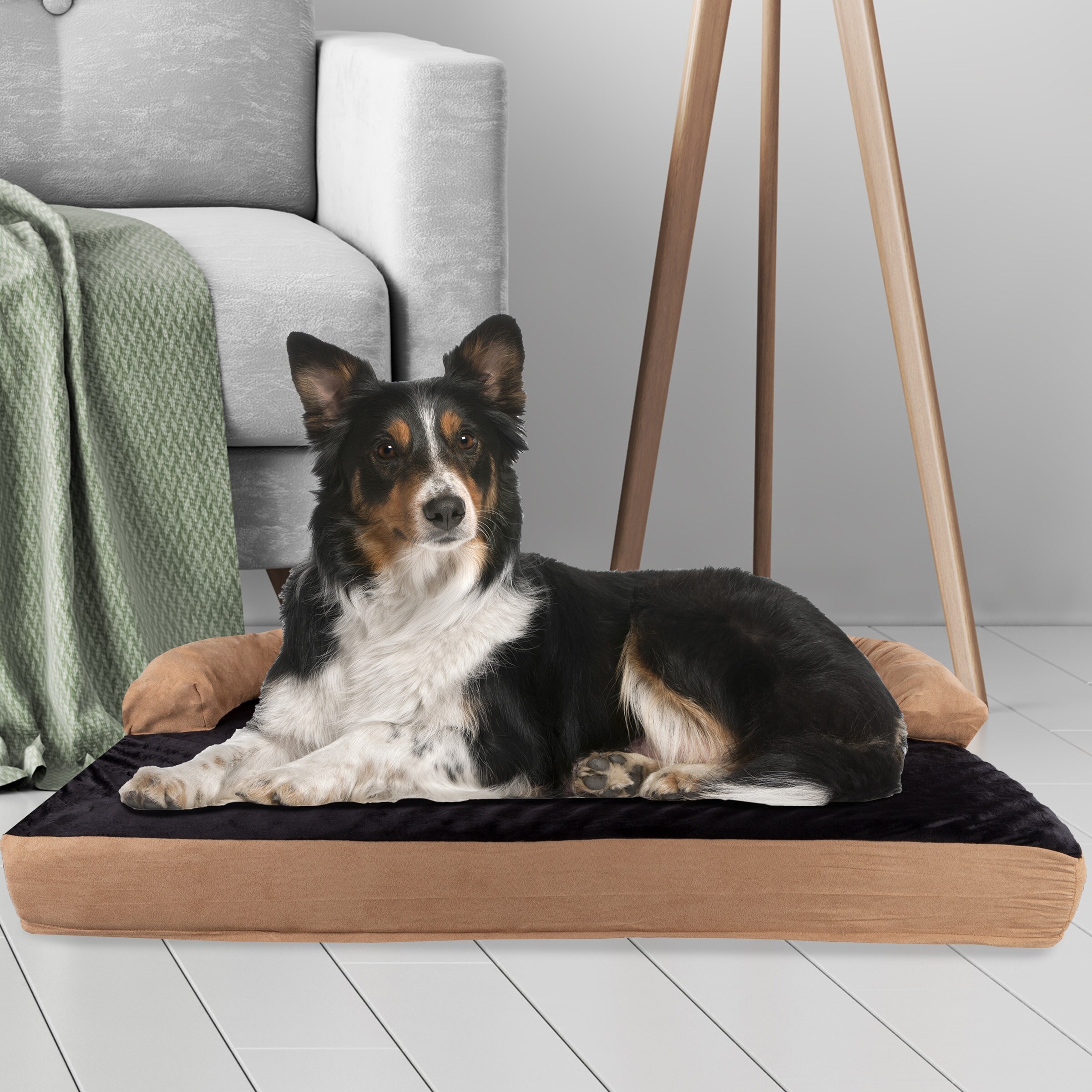 Ted baker dog cushion store